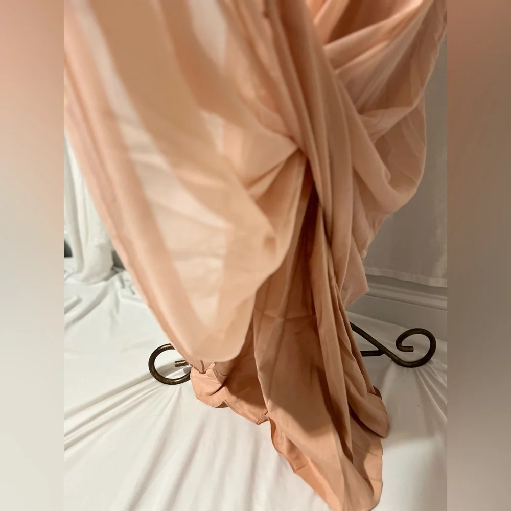 Sonsiya Blush Pink Lace Chiffon Maxi Dress Size 12 Formal Gown NWT - Picture 9 of 12